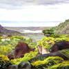 巴西蒂尤卡附近的景色，前景是花岗岩巨石