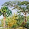 里约植物园的棕榈、竹子和印度橡胶树