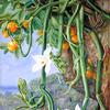 塞舌尔，普拉斯林，野生橘子的香草