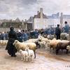 英国绵羊市场
