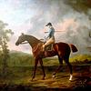 “安蒂诺乌斯”，一匹属于格拉夫顿公爵陛下的马