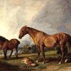 黑荆棘的肖像，一匹母马，和老杰克，一匹最喜欢的小马，E.Mundy的财产，Esq