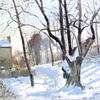 卢韦基恩斯的雪景