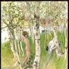 乌尔夫，桦树丛中的裸体男孩