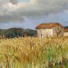 普罗旺斯的小麦和小农舍