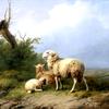 山顶上的羊和羔羊