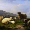海边牧场上的绵羊、母羊和羔羊
