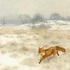 冬季风景中的狐狸和猎犬