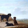 三只运动狗在风景中，从远处看温莎城堡