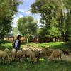 牧羊人和他的羊群