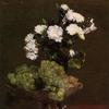 静物画：菊花和葡萄
