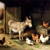 驴子、母鸡和谷仓里的鸡