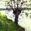 塞纳河畔的柳树