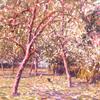 The Orchard (Verger)