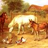 农家院子里的小马、驴和鸭