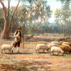 牧羊人和绵羊