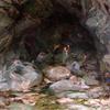 奥肯莱尔的洞穴