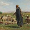 阿拉伯牧羊人