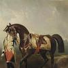 丽莎，拿破仑三世最喜欢的母马