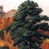 北卡罗莱纳山脉的秋天景色