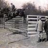 交通：美国第一匹马跳6英尺