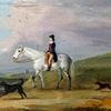 一个骑着灰马和两只狗的年轻骑手