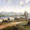 羊群景观