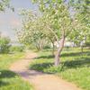 盛开苹果树的夏季景观