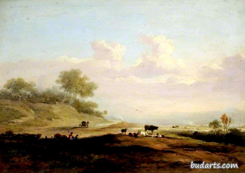 风景