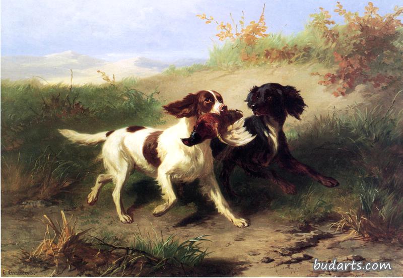 风景中的两只猎犬