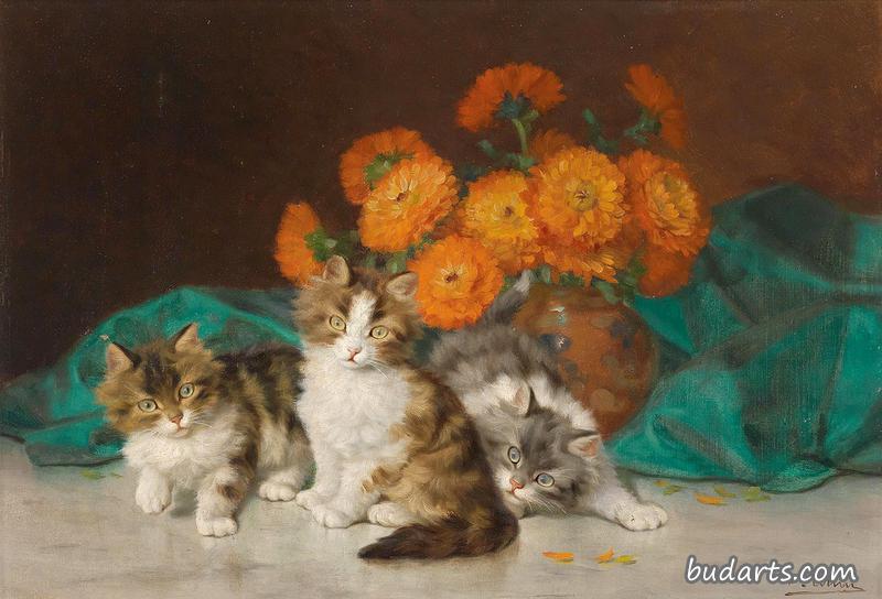 小猫