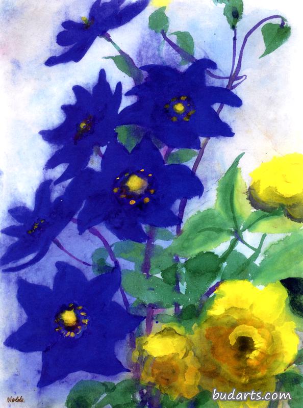 蓝黄花