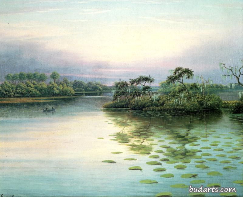 佛罗里达中部湖景
