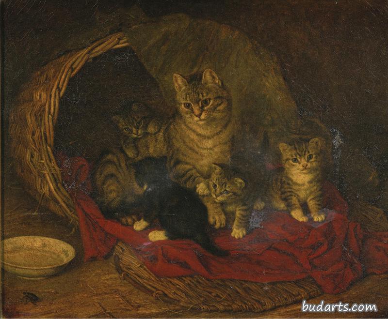 猫和猫
