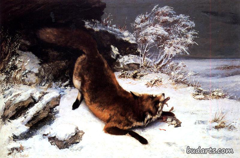 雪地里的狐狸