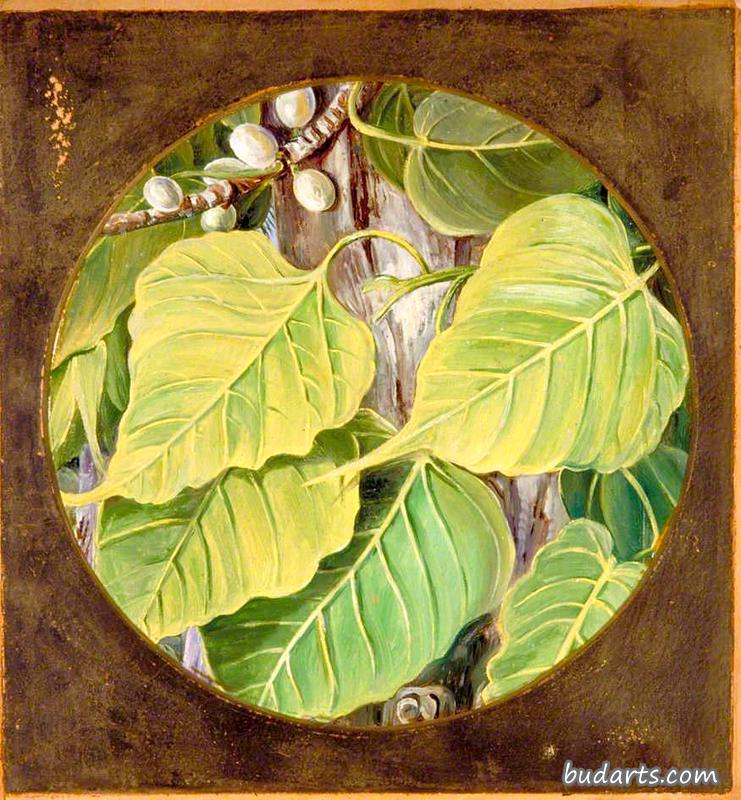 皮普尔或波