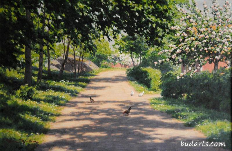 夏日养鸡路