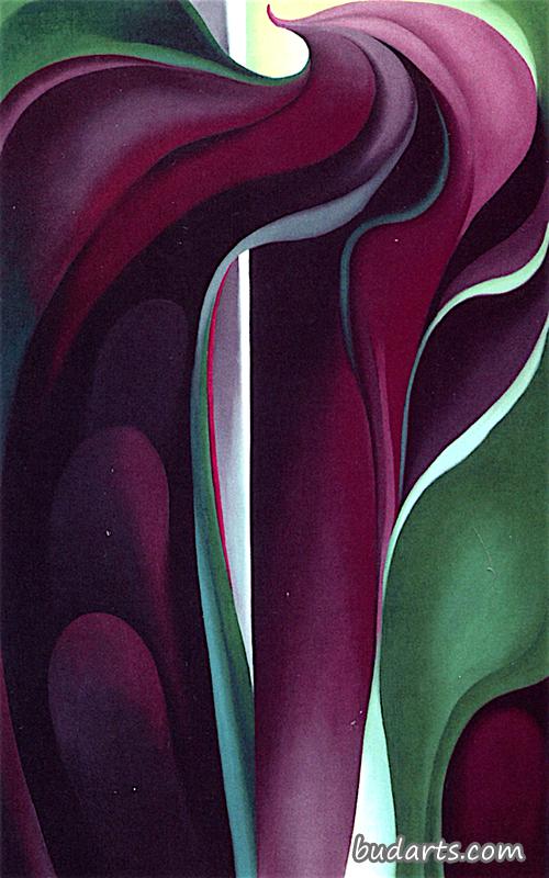 Jack-in-the Pulpit Abstraction -  No. 5