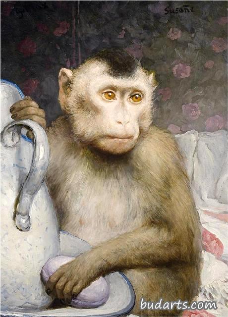 水罐猴