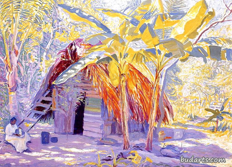 牙买加土著小屋