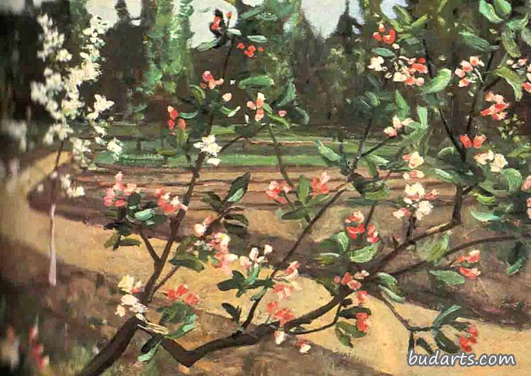 苹果花