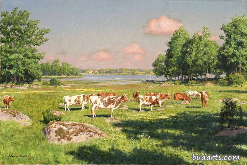 放牧牛的夏季景观