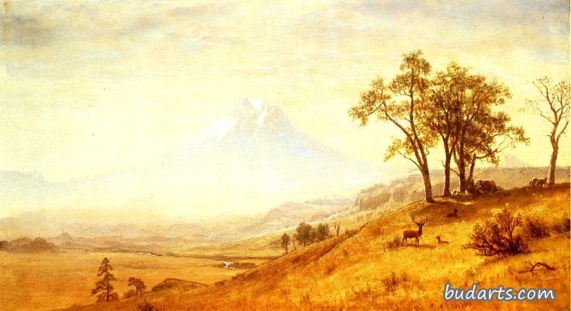 胡德山