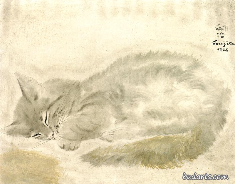 睡猫