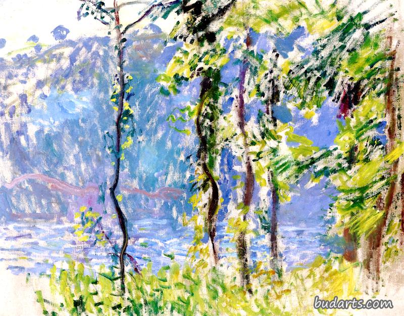 维莱兹风景