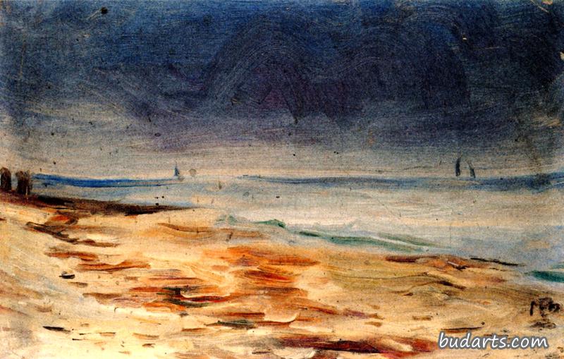 海岸，棕色和灰色