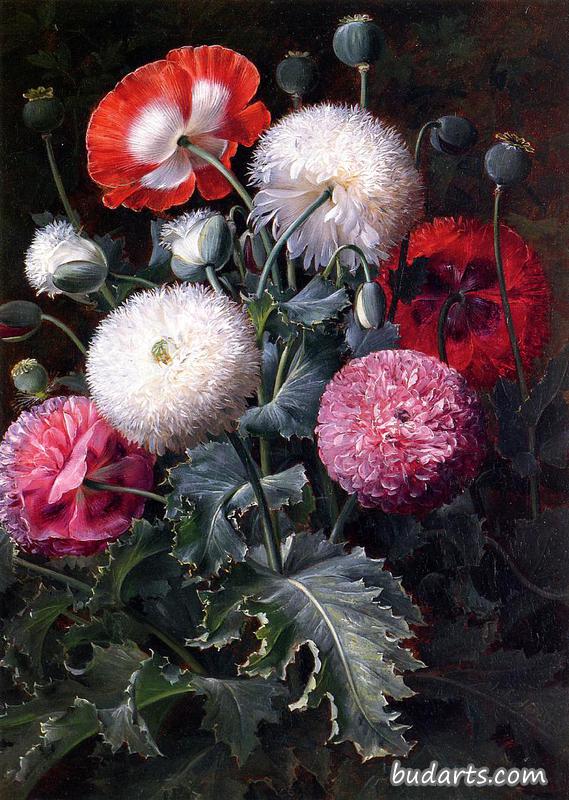 有罂粟花和其他花的静物画