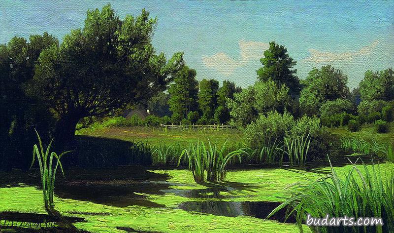 风景