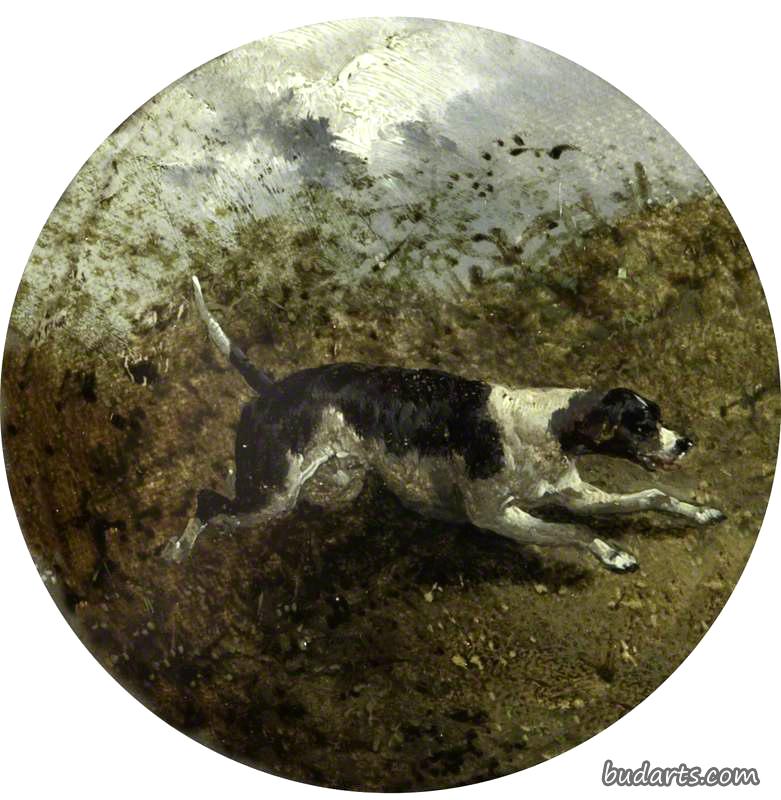 风景中的猎犬