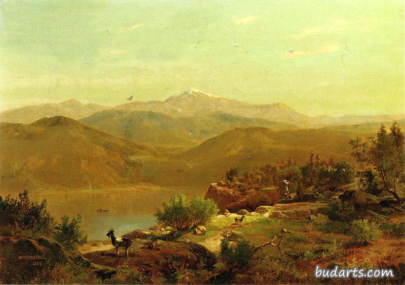 风景